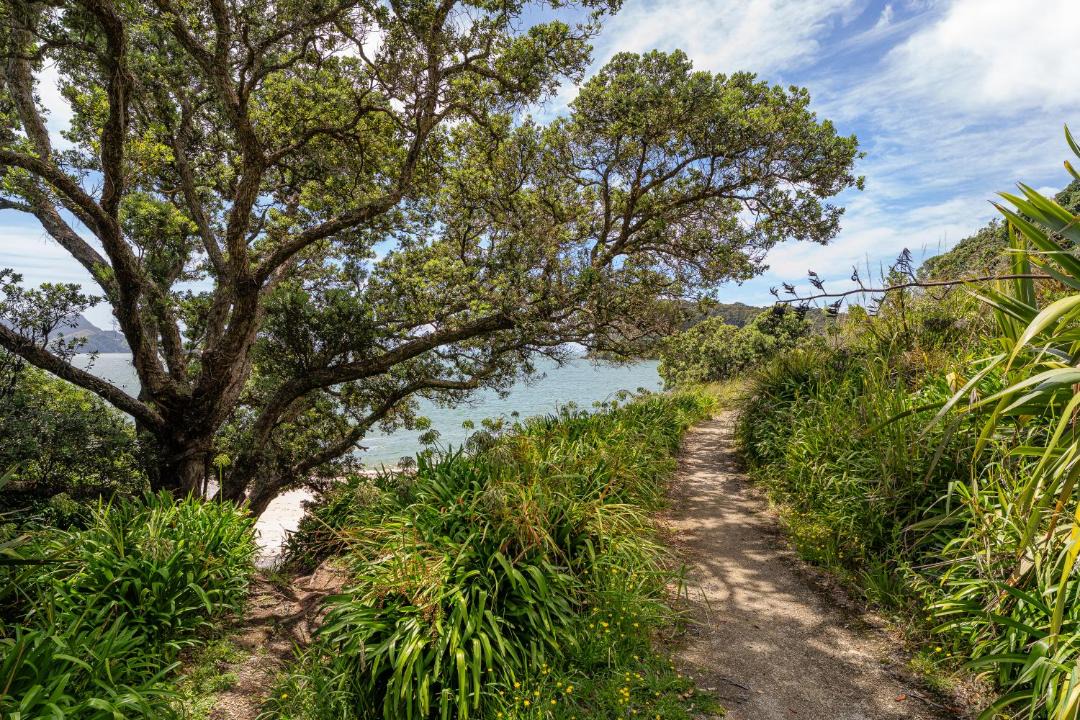 Photo of Others in Cooks Beach