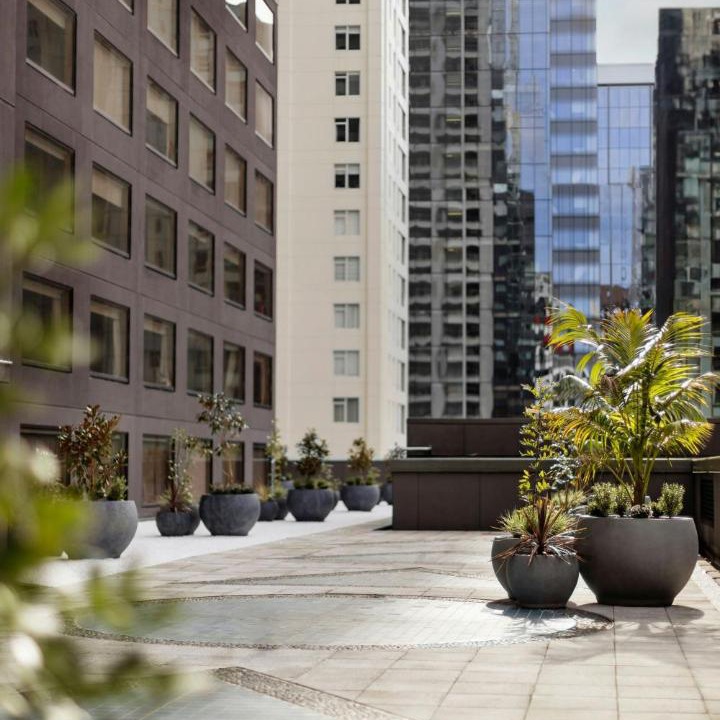 Photo of Others in Auckland Central Business District
