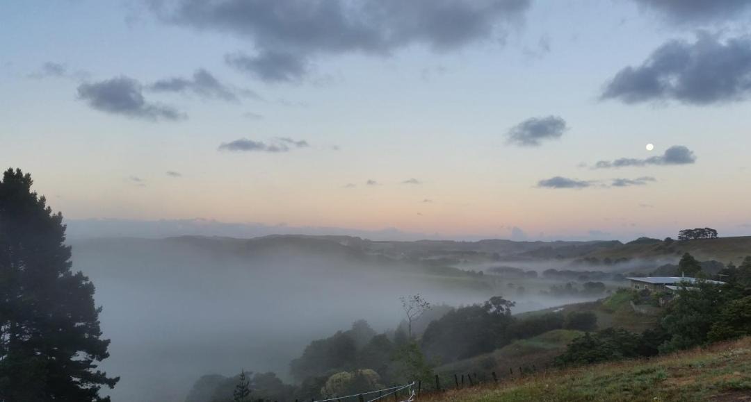 Photo of Others in Waimauku