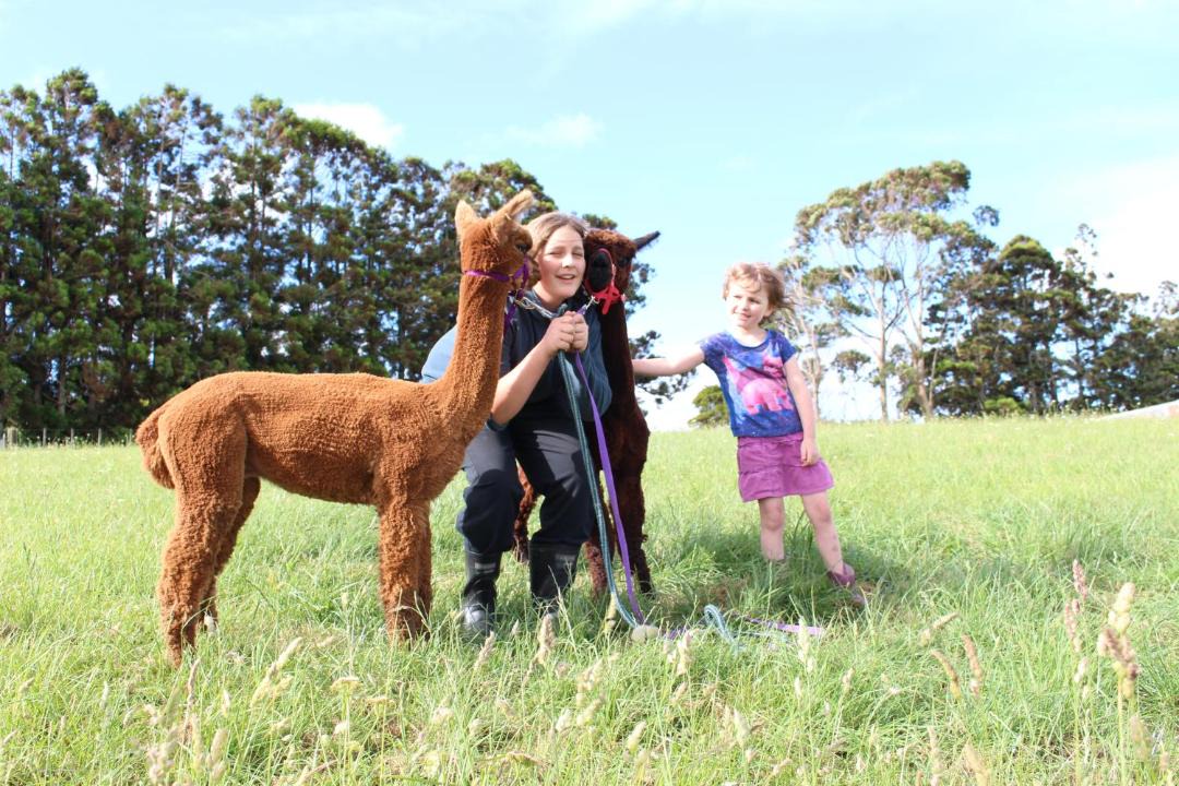 Photo of Others in Waimauku