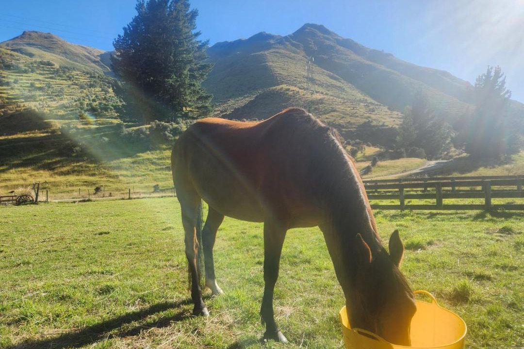 Photo of Others in Danseys Pass