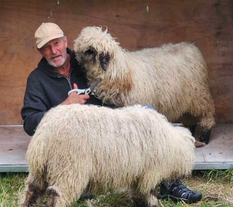 Photo of Others in Danseys Pass