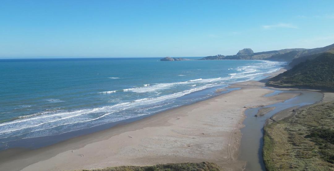 Photo of Others in Whakataki