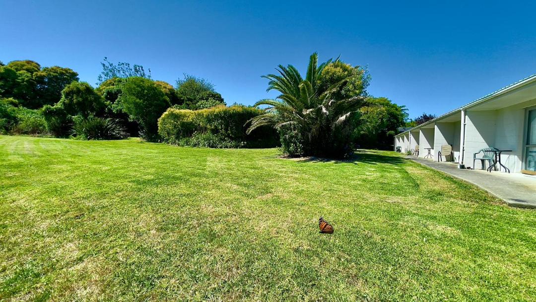 Photo of Others in Waiuku