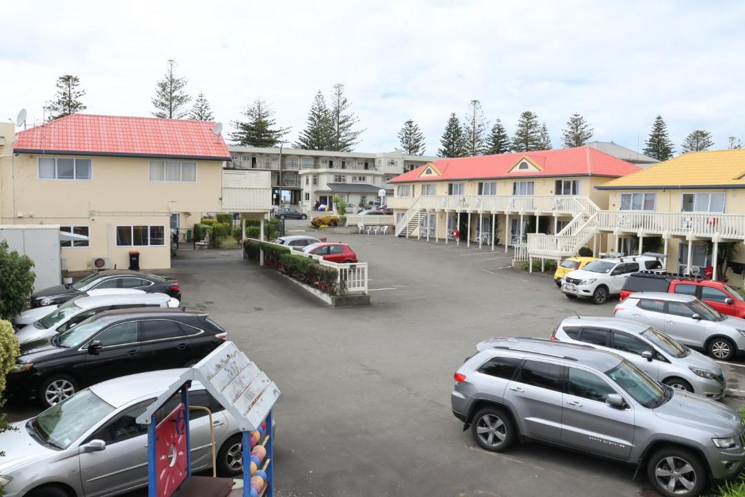 Photo of Others in Napier