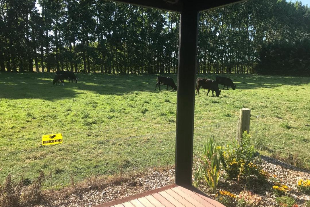 Photo of Others in Leeston