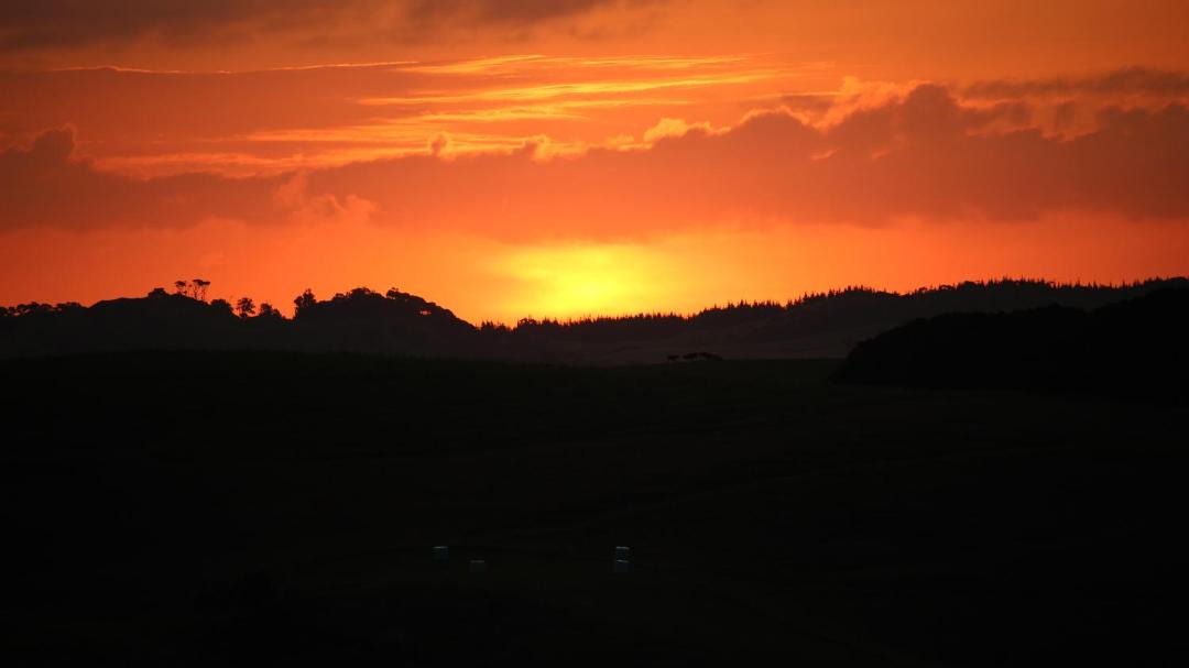 Photo of Others in Waimauku