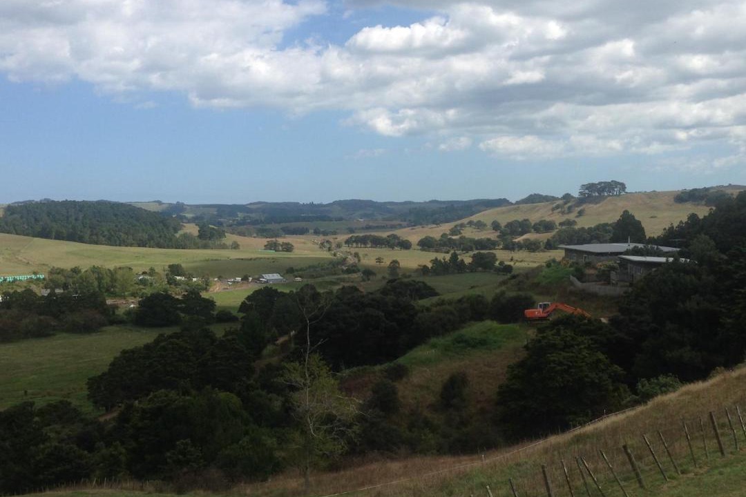 Photo of Others in Waimauku