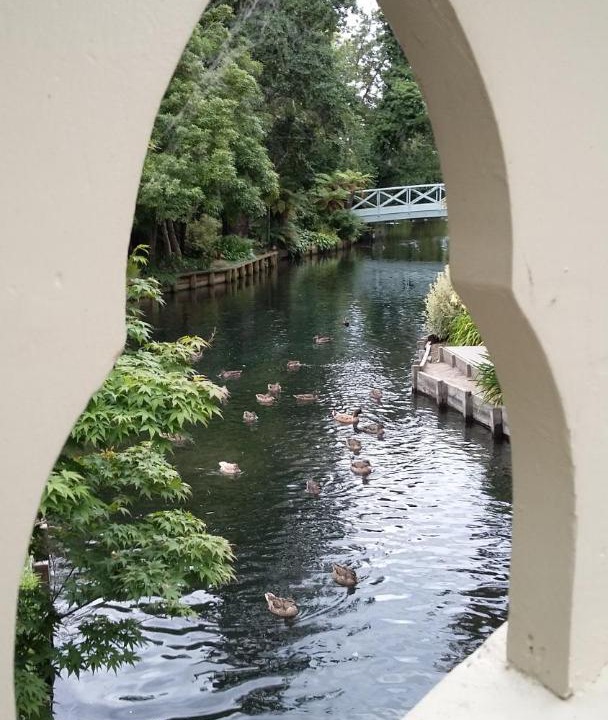 Photo of Others in Riccarton