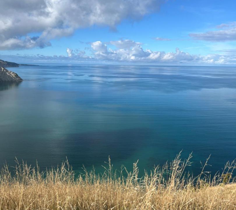 Photo of Others in Mahia