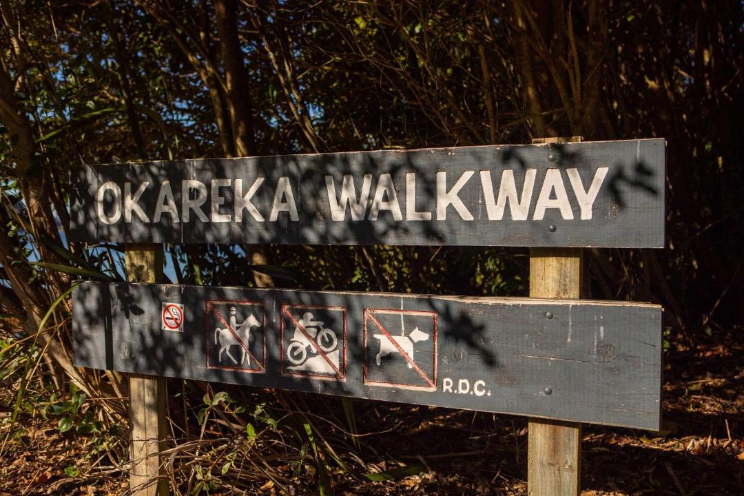 Photo of Others in Lake Okareka