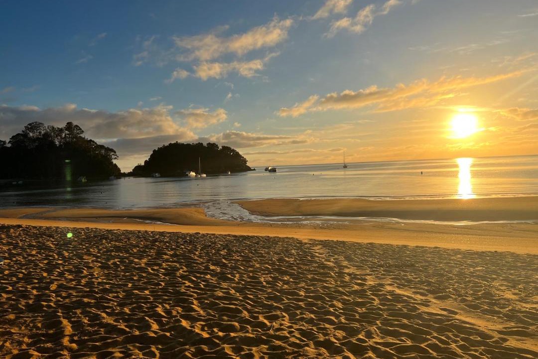 Photo of Others in Ngaio Bay