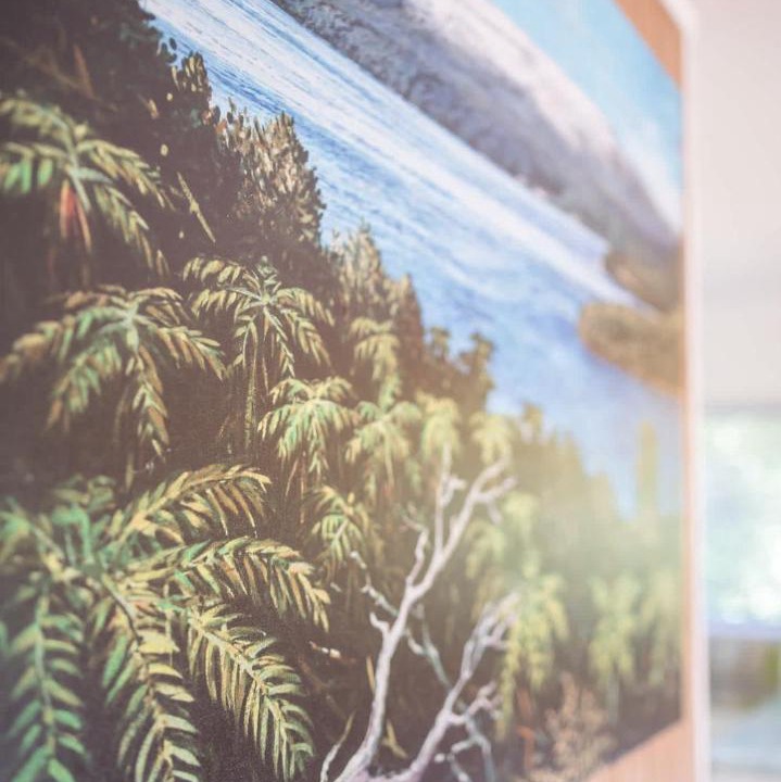 Photo of Others in Lake Tarawera
