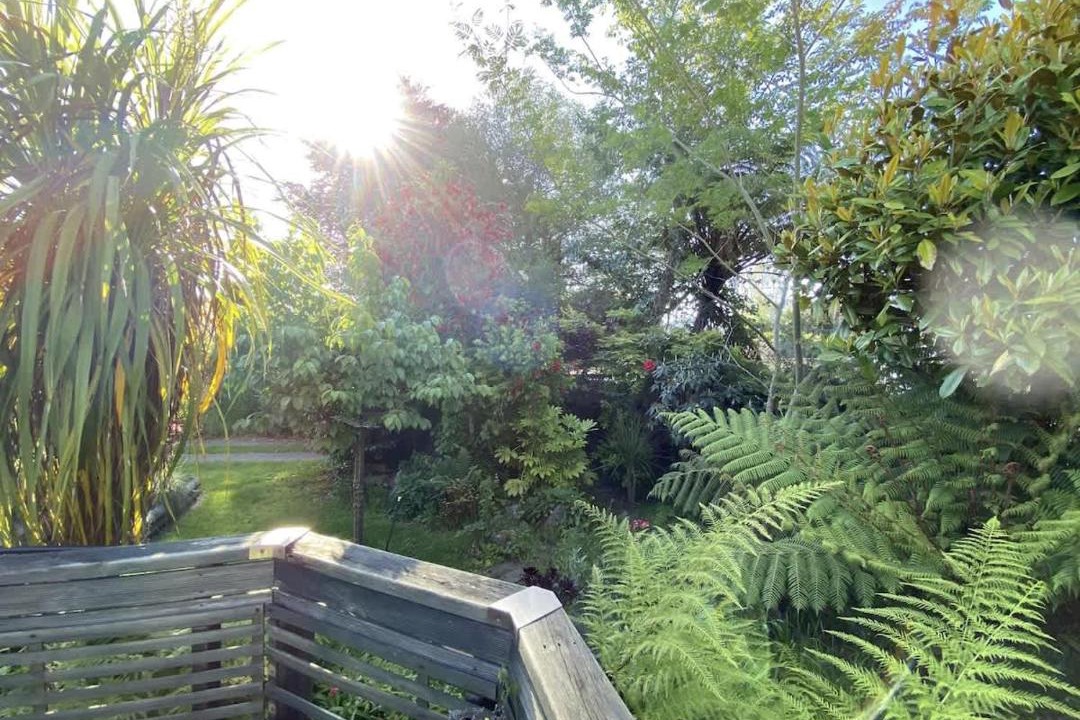 Photo of Others in Rotorua