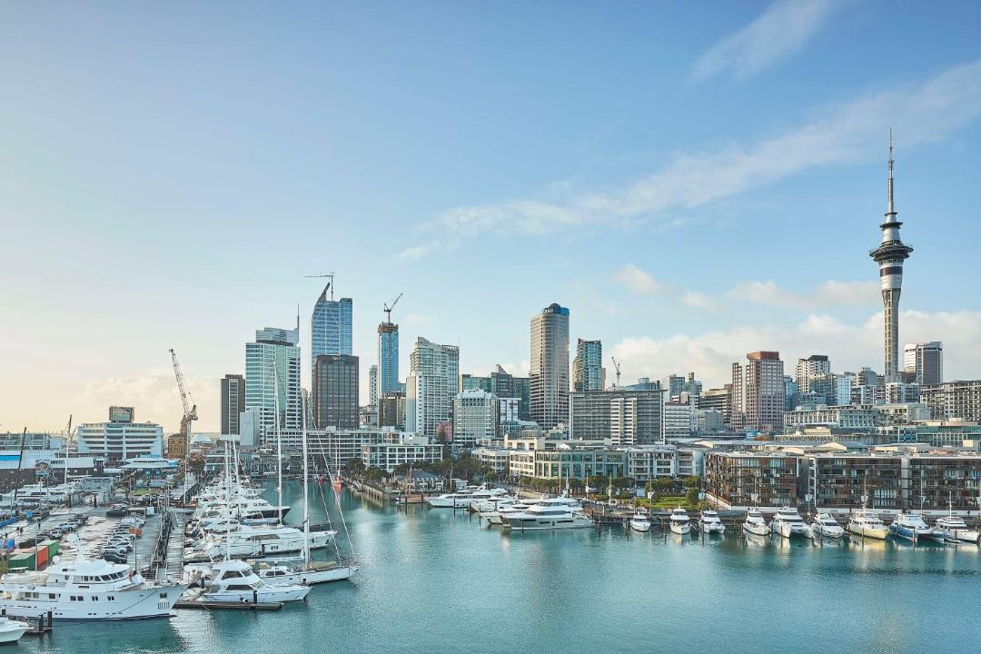 Photo of Others in Auckland Central Business District