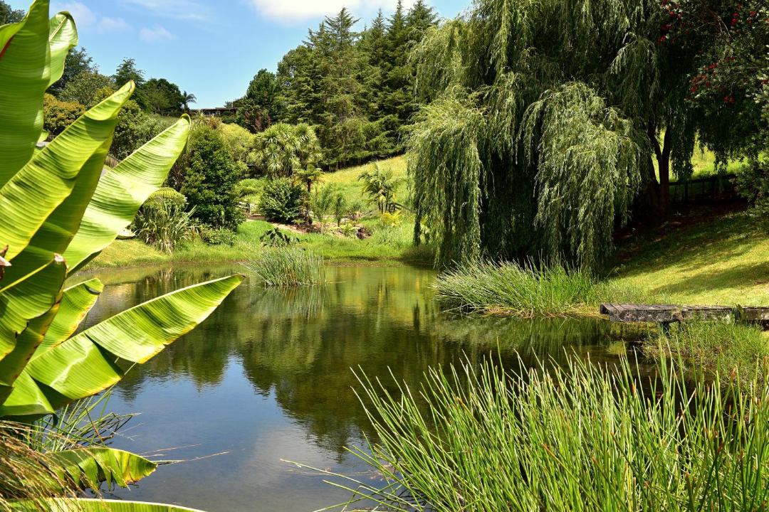 Photo of Others in Kerikeri