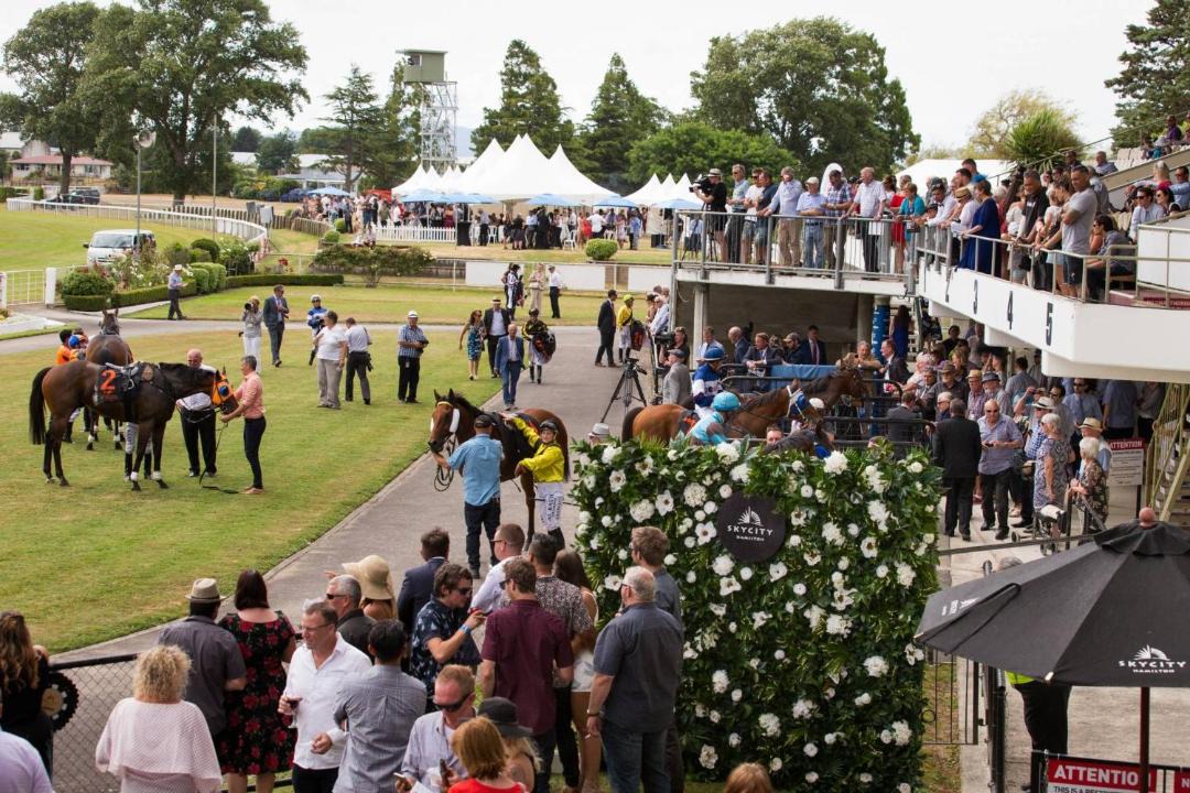 Photo of Others in Te Rapa