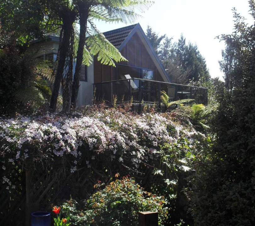 Photo of Others in Lower Kaimai