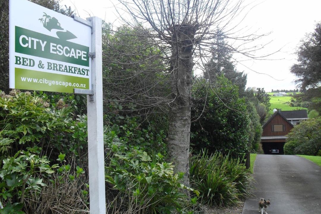 Photo of Others in Lower Kaimai