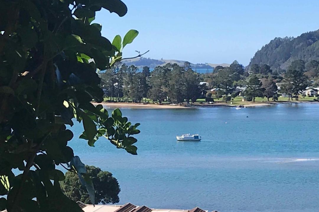 Photo of Others in Tairua
