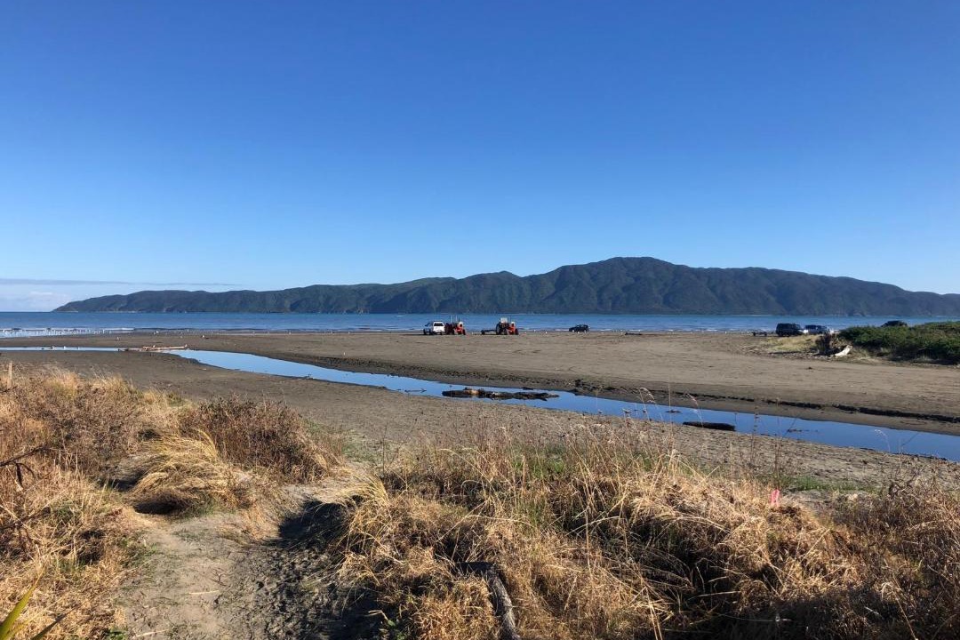 Photo of Others in Paraparaumu Beach