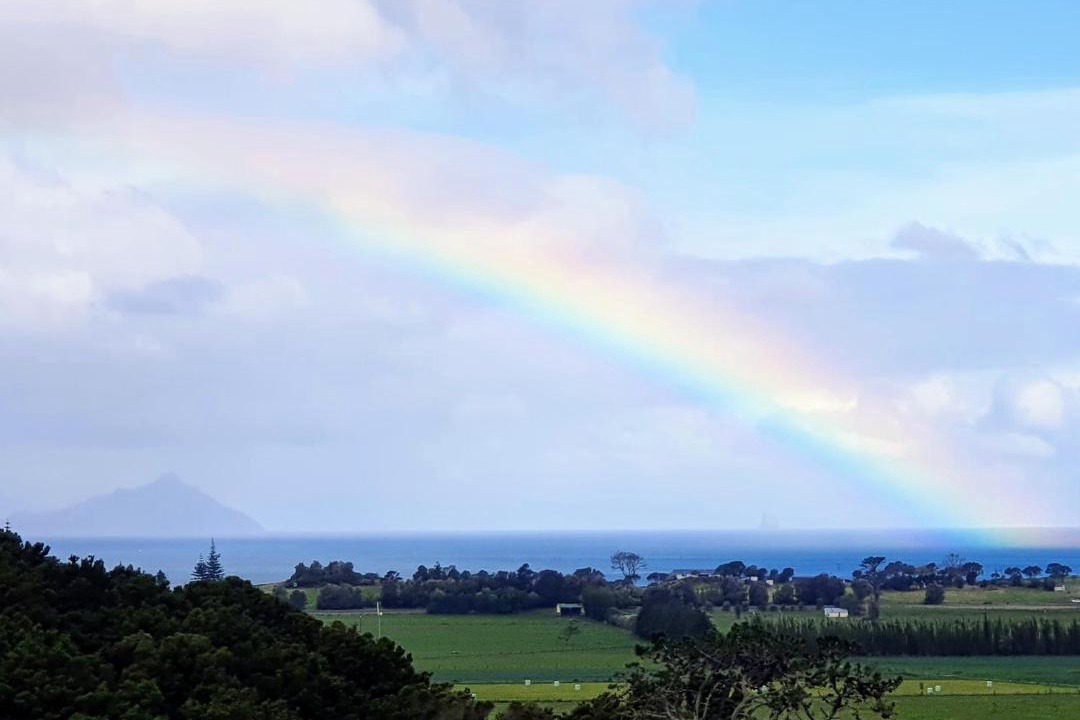 Photo of Others in Ruakaka