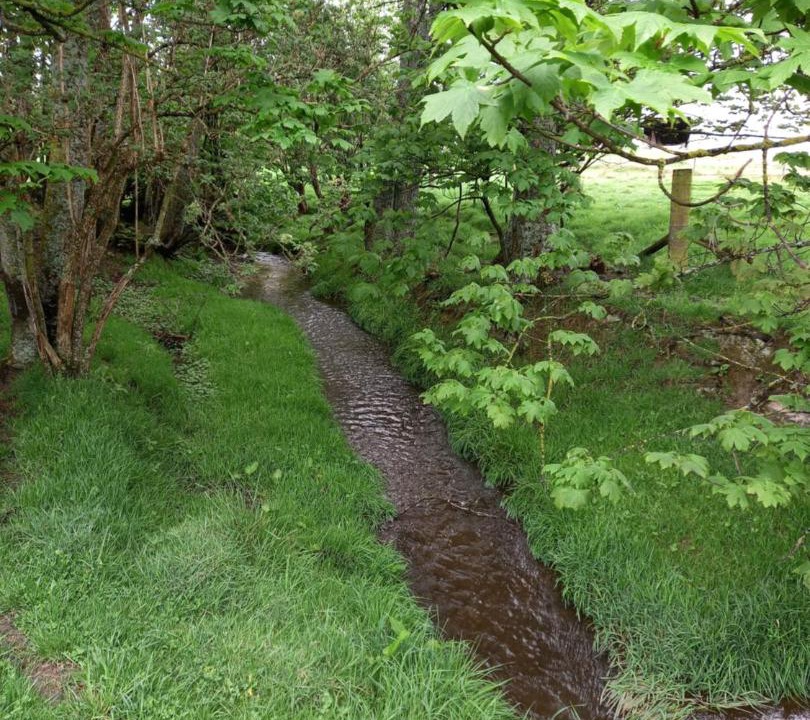 Photo of Others in Conical Hill