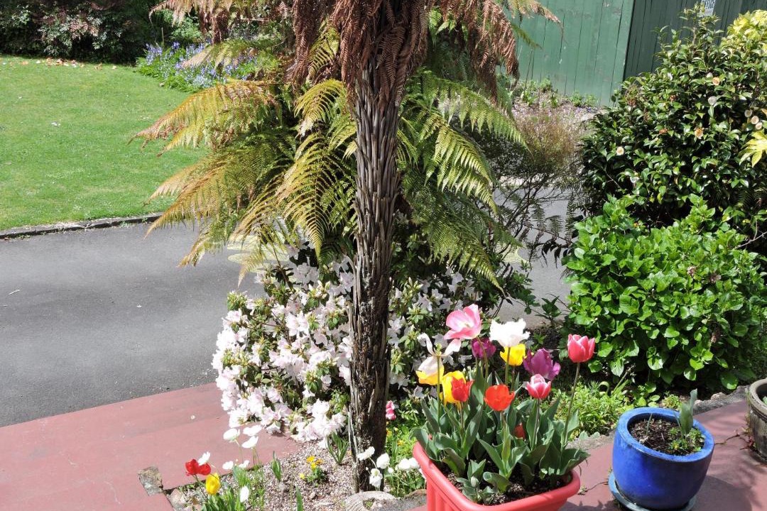 Photo of Others in Matamata