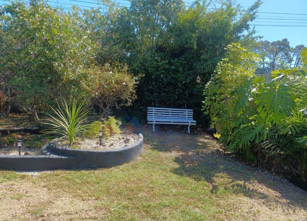 Photo of Others in Auckland Region