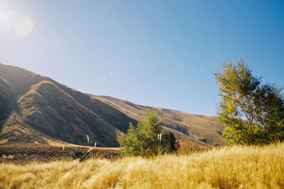 Photo of Others in Ben Ohau