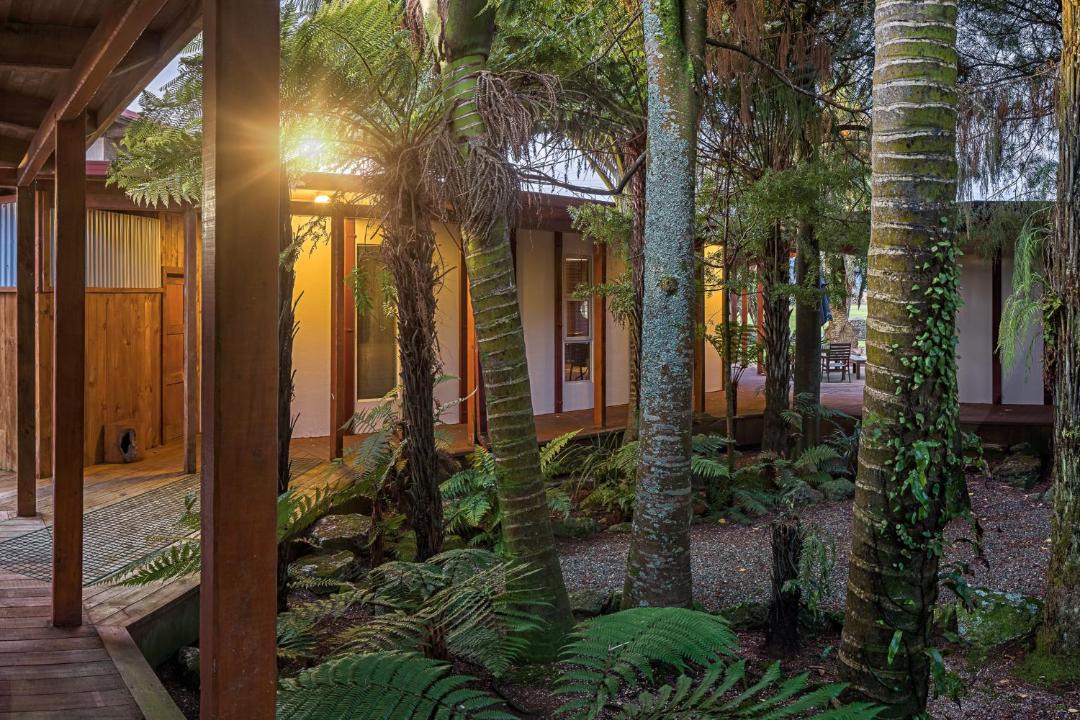 Photo of Others in Karamea