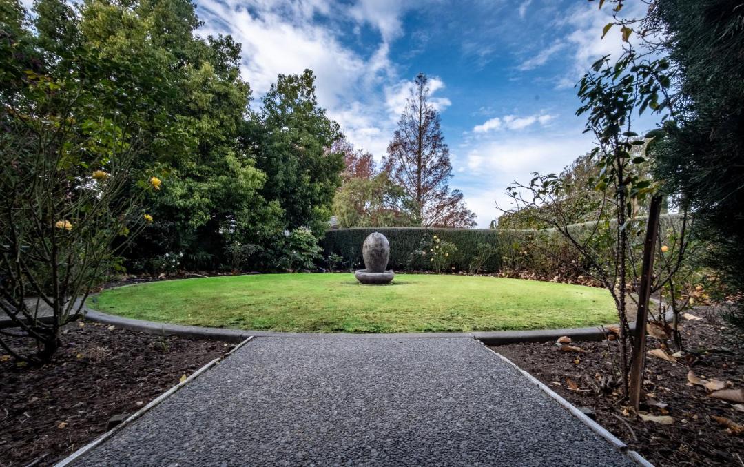 Photo of Others in Havelock North