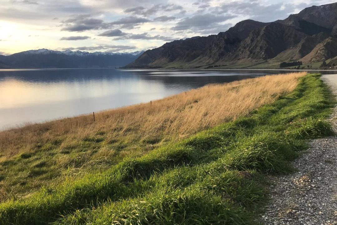 Photo of Others in Lake Hawea