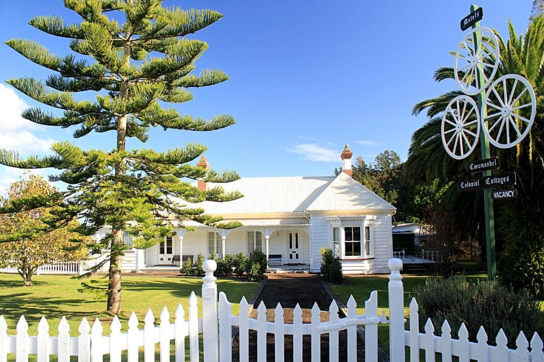 Photo of Others in Coromandel