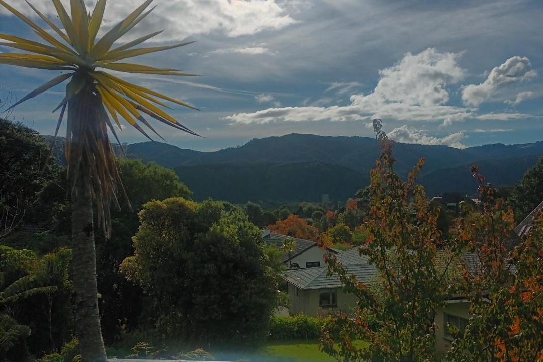 Photo of Others in Silverstream