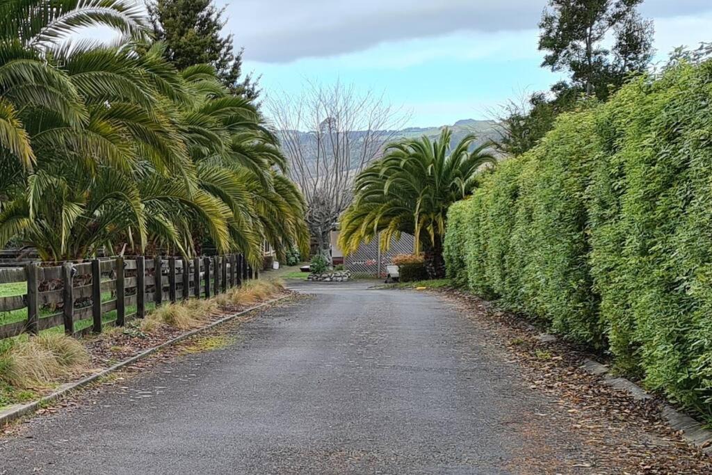 Photo of Others in Pukehangi