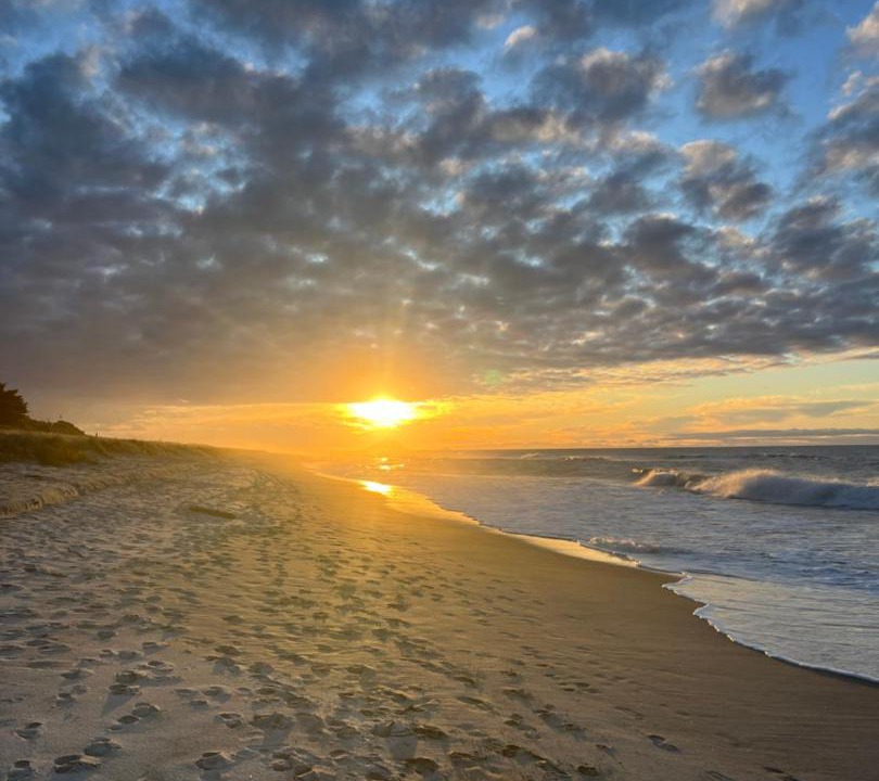 Photo of Others in Papamoa Beach