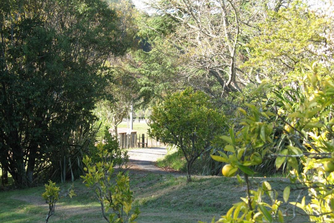 Photo of Others in Upper Moutere