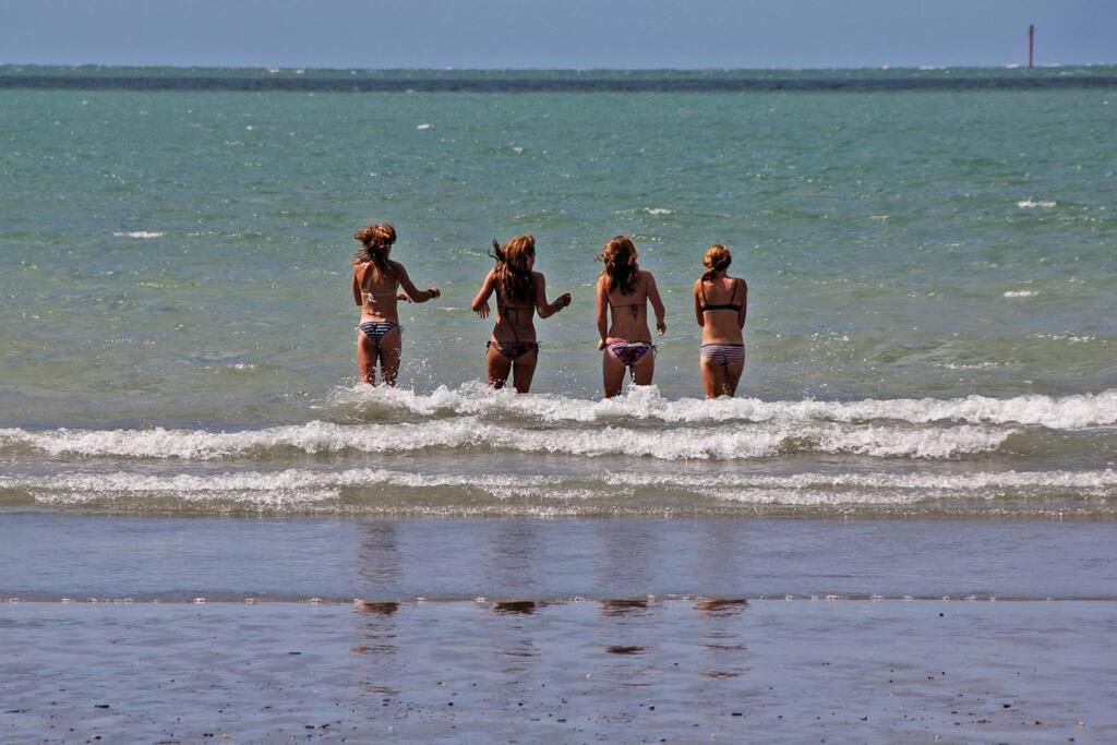 Photo of Others in Tahunanui