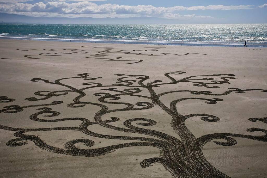 Photo of Others in Tahunanui
