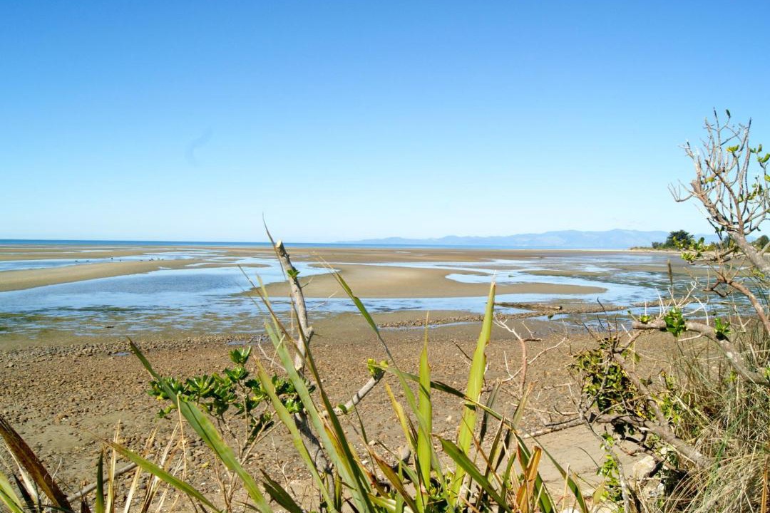 Photo of Others in Pakawau