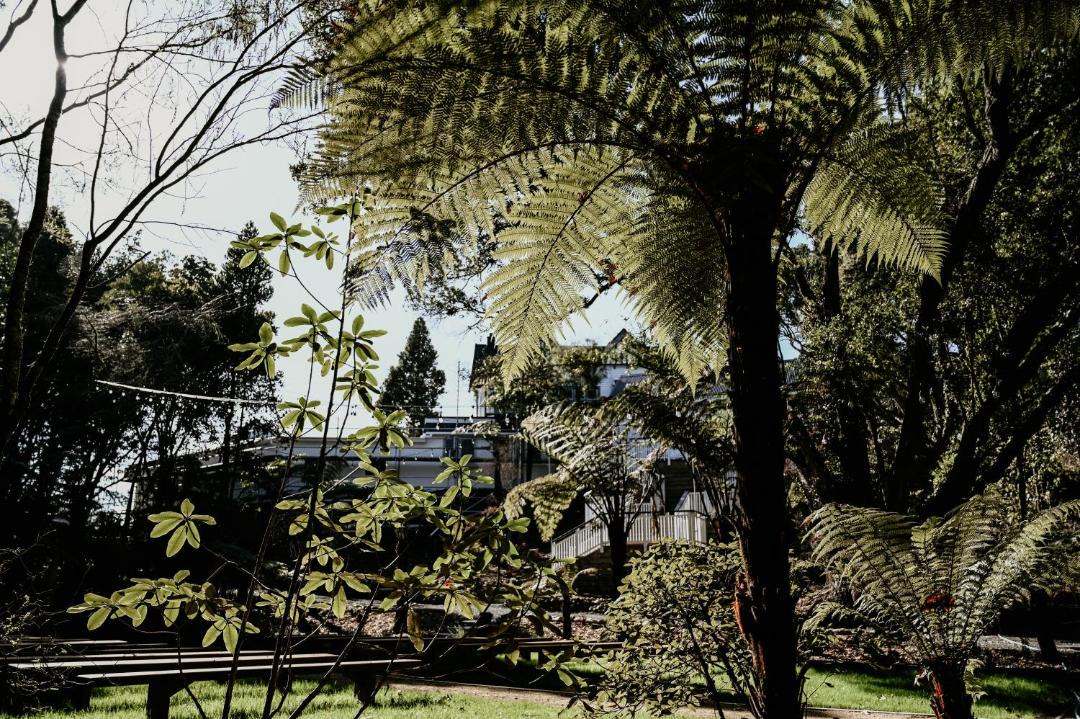 Photo of Others in Manakau
