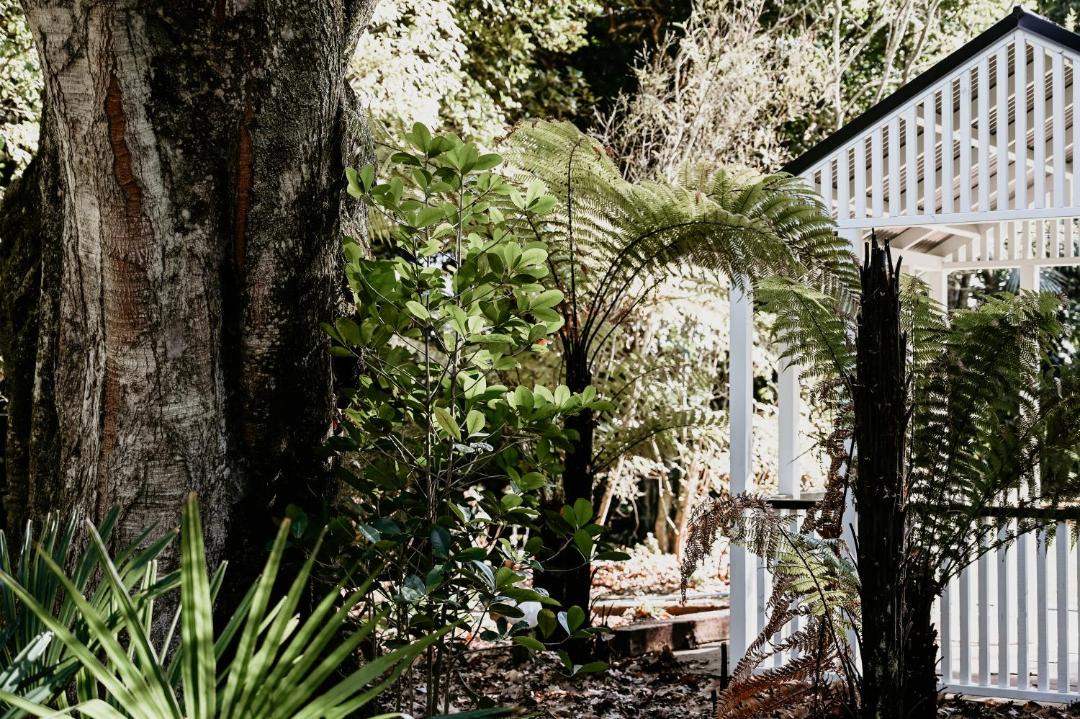 Photo of Others in Manakau