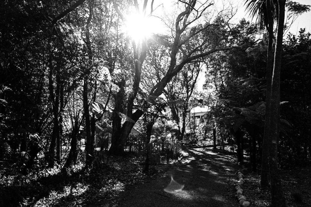 Photo of Others in Manakau