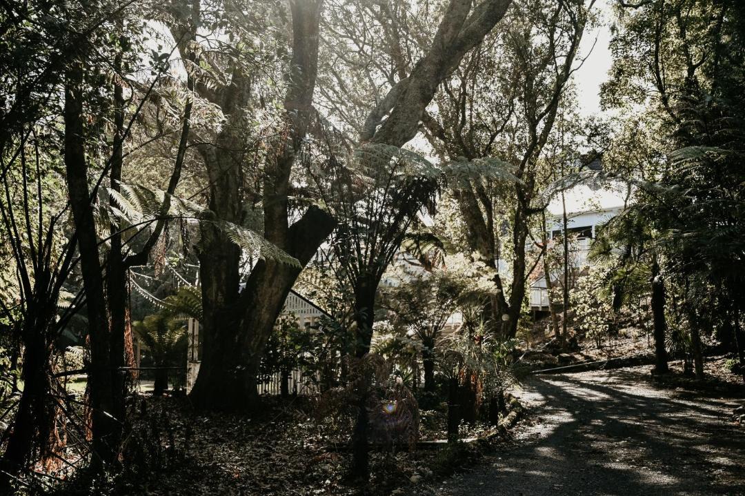 Photo of Others in Manakau