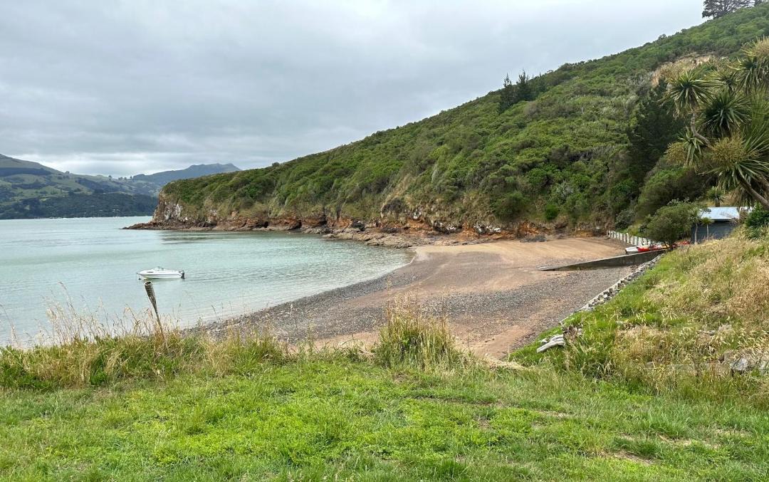 Photo of Others in Akaroa