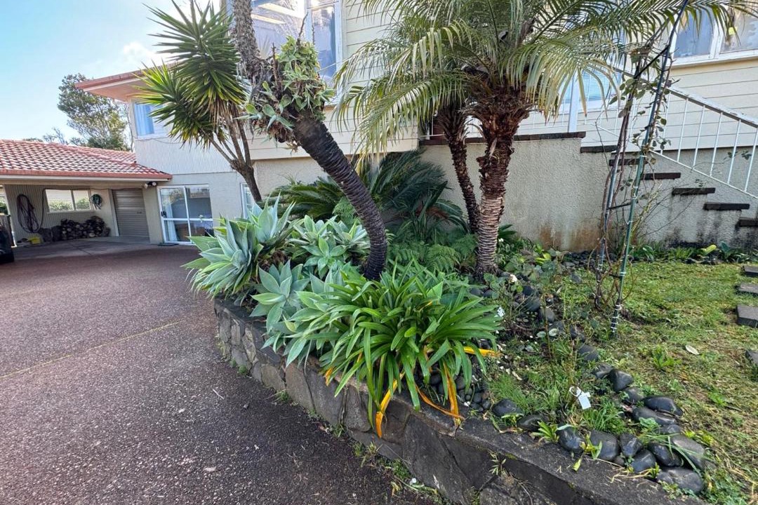 Photo of Others in Mount Roskill