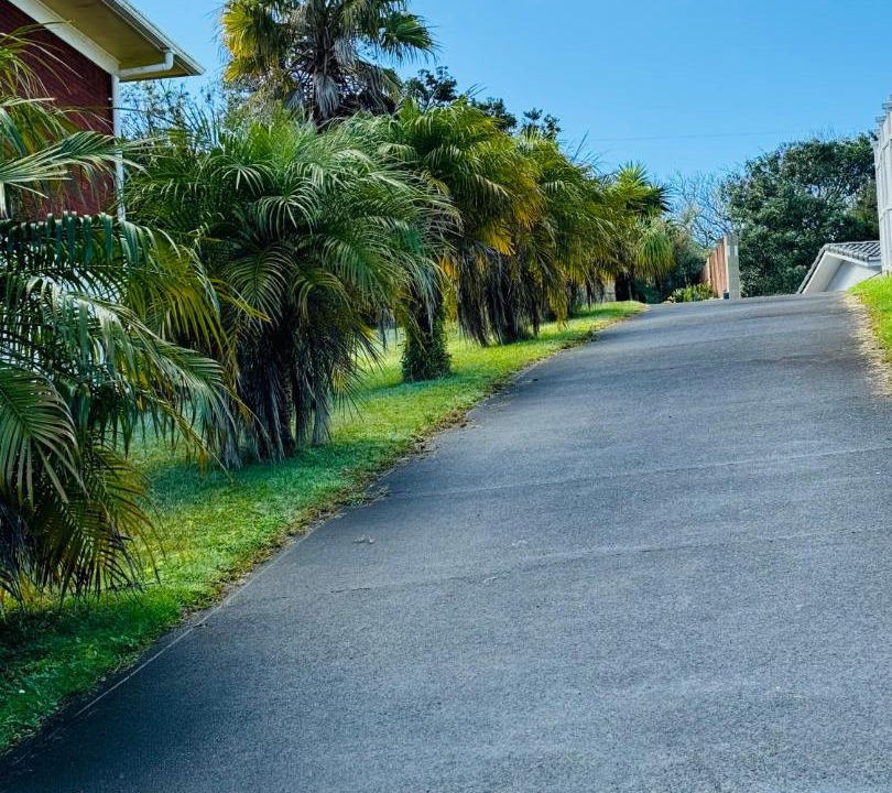 Photo of Others in Mount Roskill