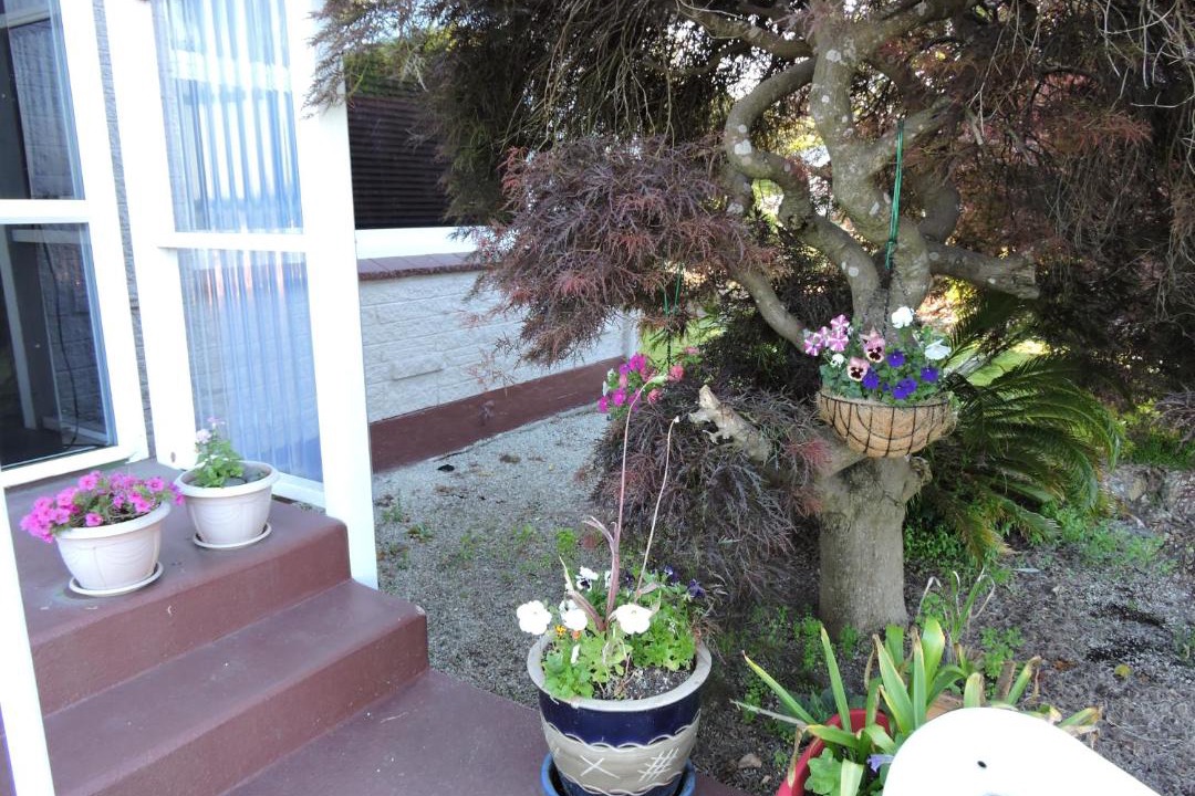 Photo of Others in Matamata