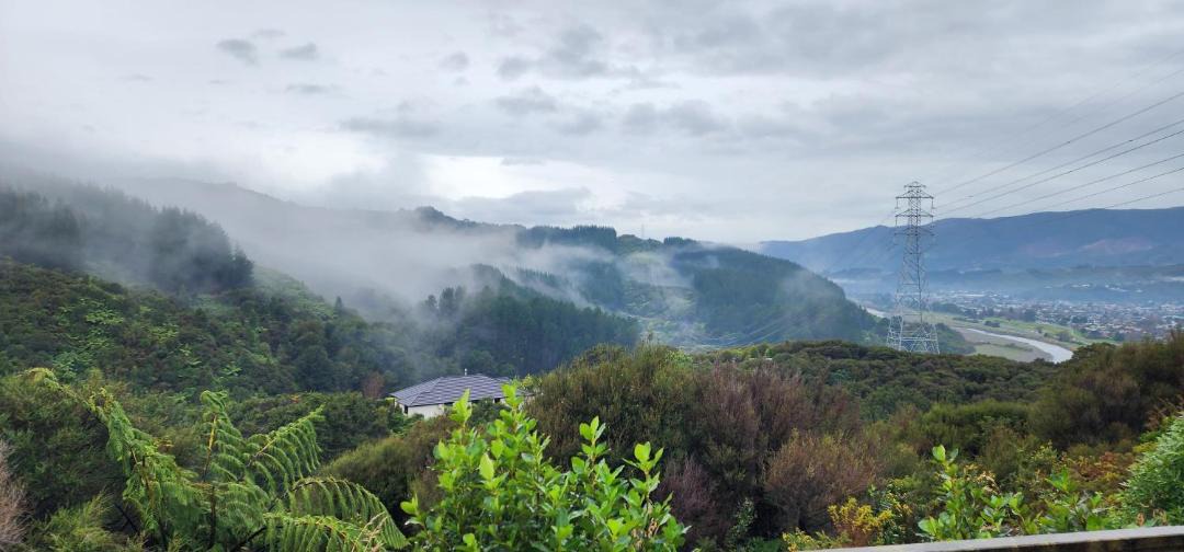 Photo of Others in Upper Hutt